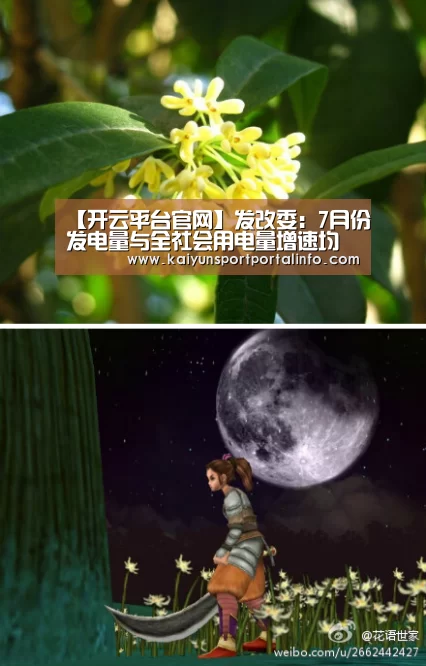 【开云平台官网】发改委:7月份发电量与全社会用电量增速均有所回落(图3) 开云官网登录入口