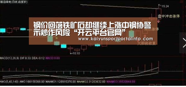 钢价回落铁矿石却继续上涨中钢协警示炒作风险“开云平台官网”(图2) 开云平台官网