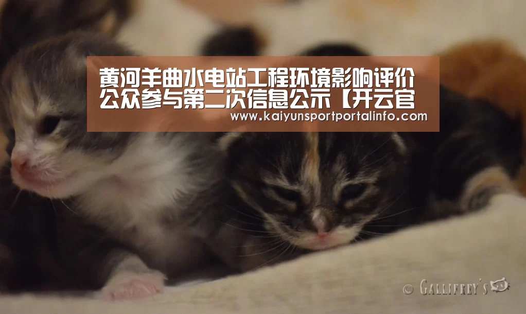 开云电竞