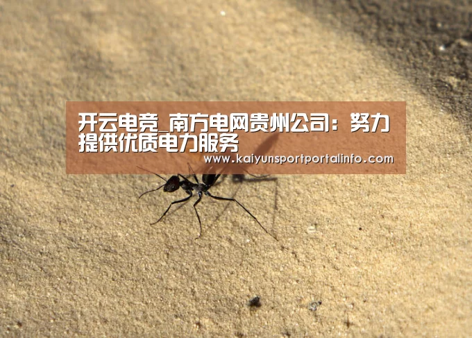 开云电竞