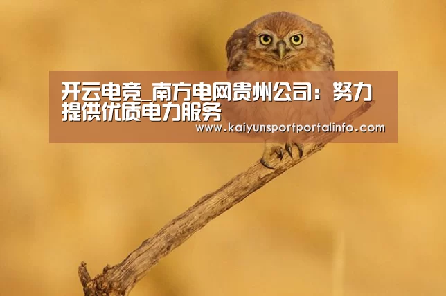 开云电竞_南方电网贵州公司：努力提供优质电力服务(图4)