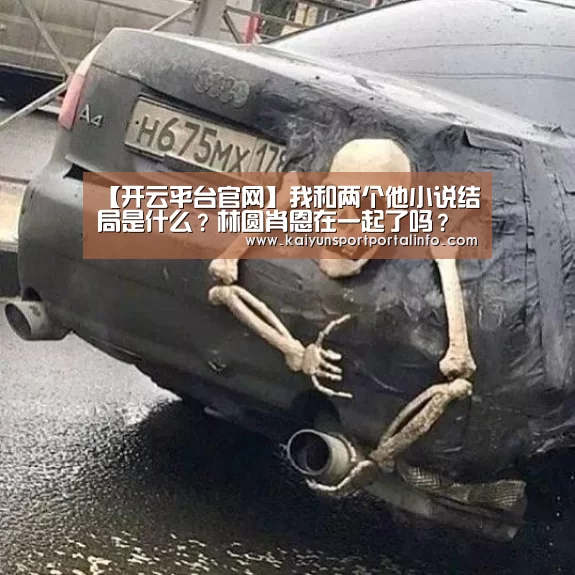 【开云平台官网】我和两个他小说结局是什么?林圆肖恩在一起了吗?(图1) 开云平台官网