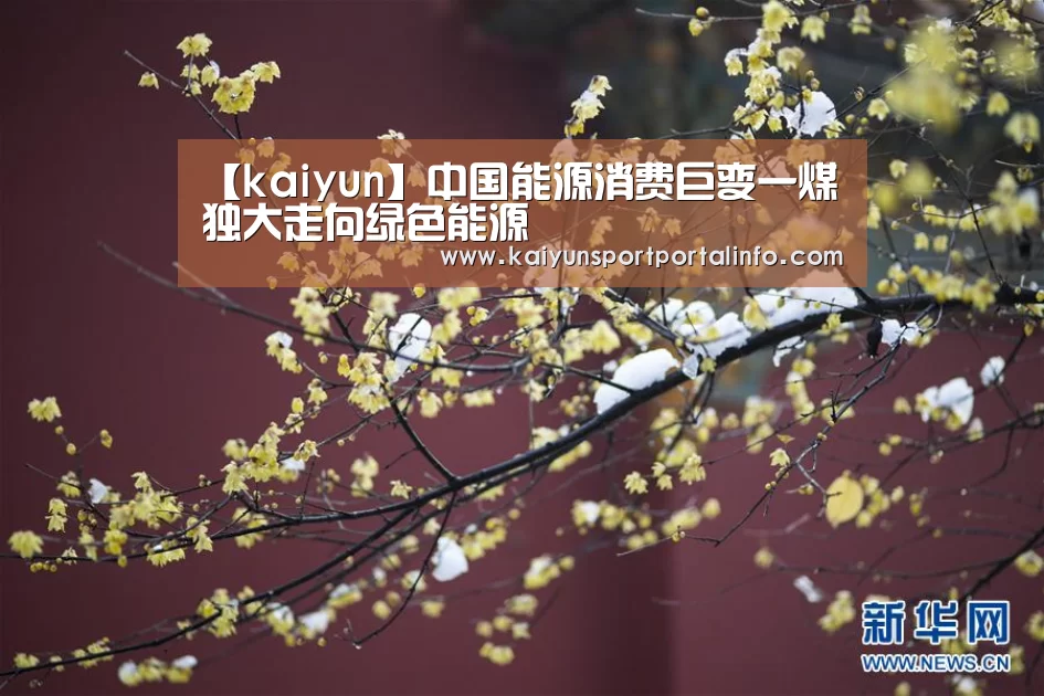 【kaiyun】中国能源消费巨变一煤独大走向绿色能源(图2) 开云电竞